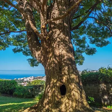 Quinta Malvas - Quinta De Santa Luzia Πανσιόν Φουνκάλ