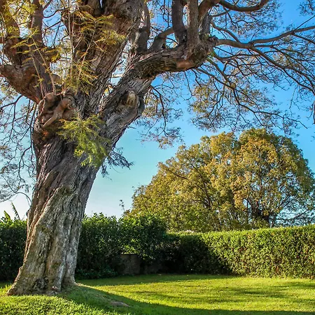 Quinta Malvas - Quinta De Santa Luzia 4*